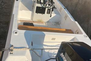 Barca e motore 40/60