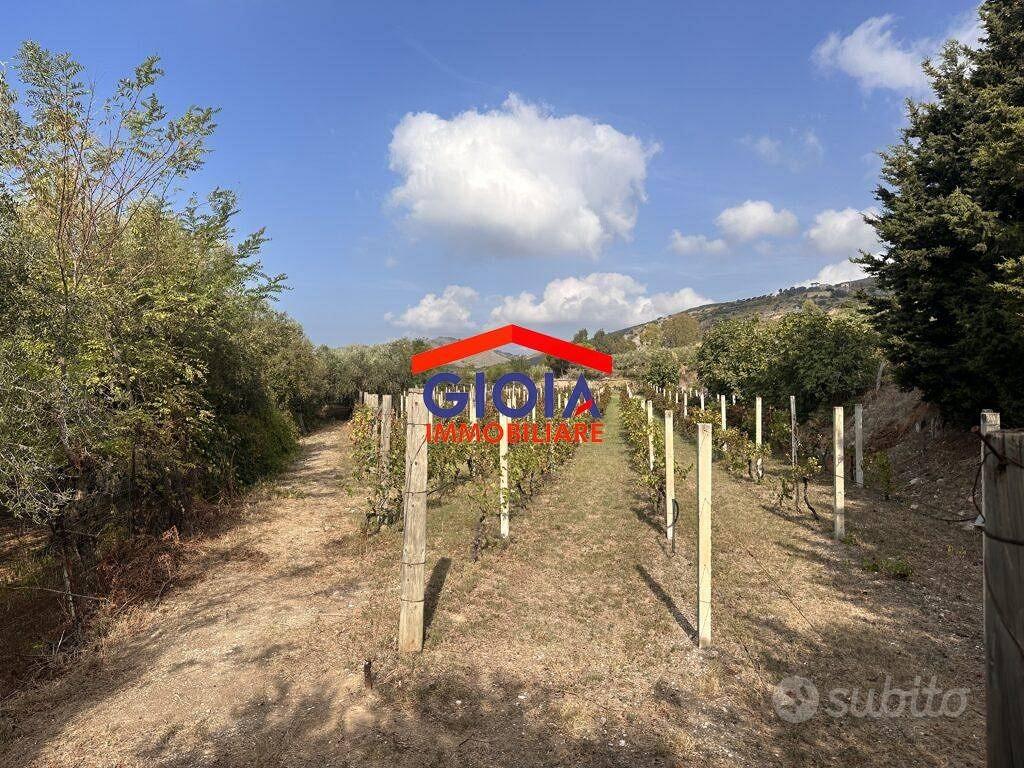 Terreno di 33000 m² a Mondragone - Vista 2