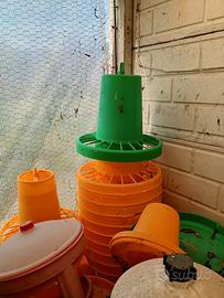 Mangiatoie Abbeveratoi