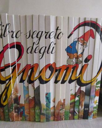 Il libro segreto degli gnomi