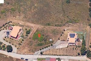 Lotto TERRENO AGRICOLO zona Monreale-Giacalone