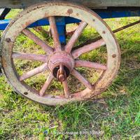 antico carro agricolo 