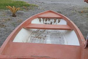 Barca in vetroresina + Motore Mercury + Accessori