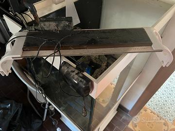 Plafoniere led zetlight Alba tramonto