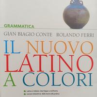 Il nuovo latino a colori. Grammatica. 978880022475