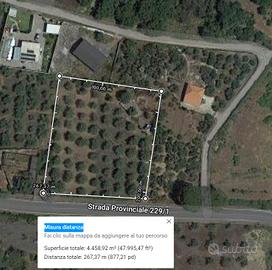 Terreno/Campagna/Uliveto contrada valcorrente