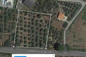 Terreno/Campagna/Uliveto contrada valcorrente