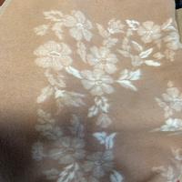 Coperta matrimoniale