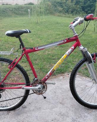 Bici Mountain bike raggio 26
