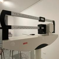 Bilancia meccanica SECA 700 con altimetro - 220 kg