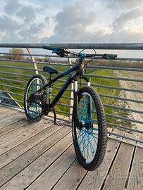 whellie bike