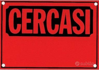 Appartamento/stanza in zona Monfalcone e dintorni