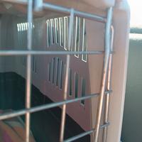 Trasportino cane taglia media