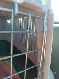 Trasportino cane taglia media