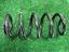 Immagine 11