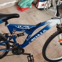 Mountain bike 30