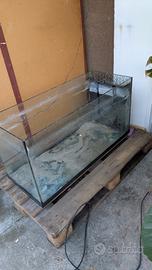 acquario 
