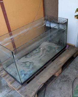 acquario 