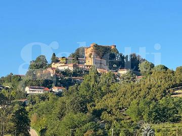 Ristorante Monticello d'Alba [Rif. 25038VCG]