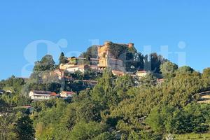 Ristorante Monticello d'Alba [Rif. 25038VCG]
