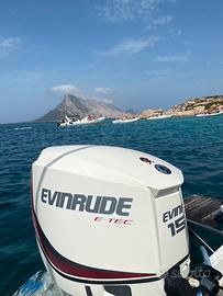 Evinrude etec 150