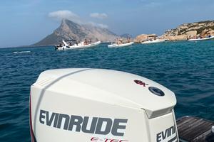 Evinrude etec 150