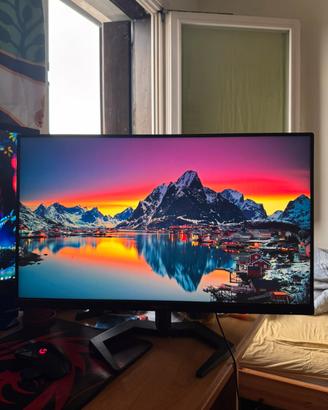 Philips Evnia 24” Gaming Monitor 165Hz IPS Full HD