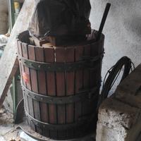 torchio per uva