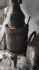 torchio per uva