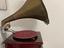 Immagine 5