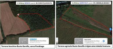 1 Terreno AGRICOLO e 1 Terreno BOSCHIVO, separati