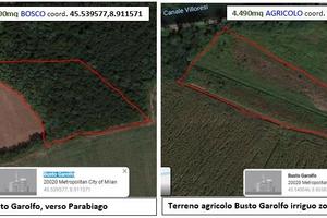 1 Terreno AGRICOLO e 1 Terreno BOSCHIVO, separati