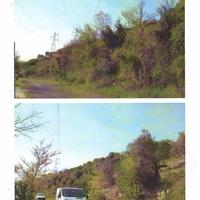 Terreno olivato con unità collabente di 146 mq