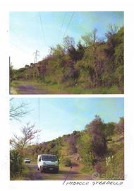 Terreno olivato con unità collabente di 146 mq