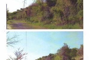 Terreno olivato con unità collabente di 146 mq