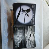 National Geographic Master e Maestri di fotografia