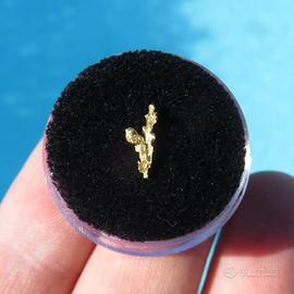 PEPITA d'ORO NATURALE CRISTALLIZZATA Nevada