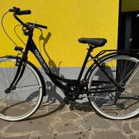 Bici passeggio Denver