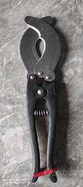pinza per ricci