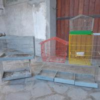 gabbiette per uccelli