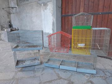 gabbiette per uccelli