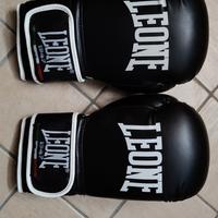 Guantoni da boxe Leone