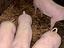 Immagine 5