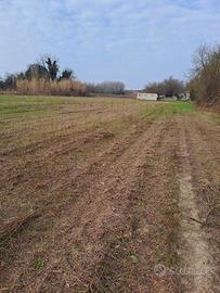 terreno agricolo a Portoviro 