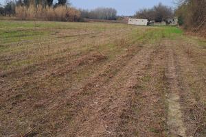 terreno agricolo a Portoviro 