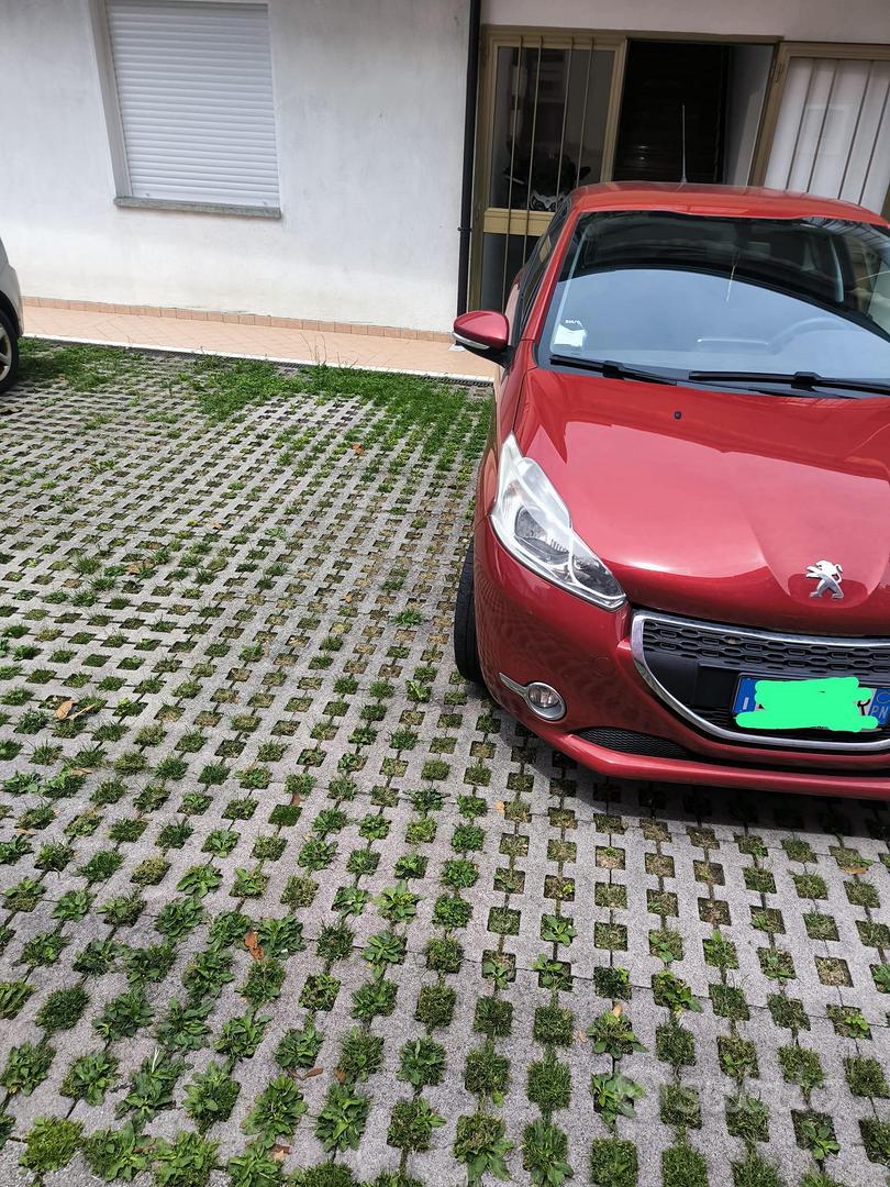 peugeot-206-1-6-diesel-auto-in-vendita-a-pordenone