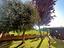 Immagine 20
