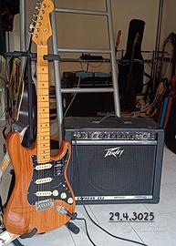 amplificatore chitarra Peavey 65w-borsa pelle 