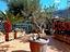 Immagine 26