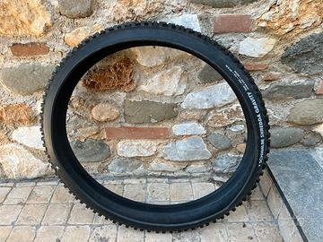 schwalbe shredda gravity rear pro tlr 29x2.50